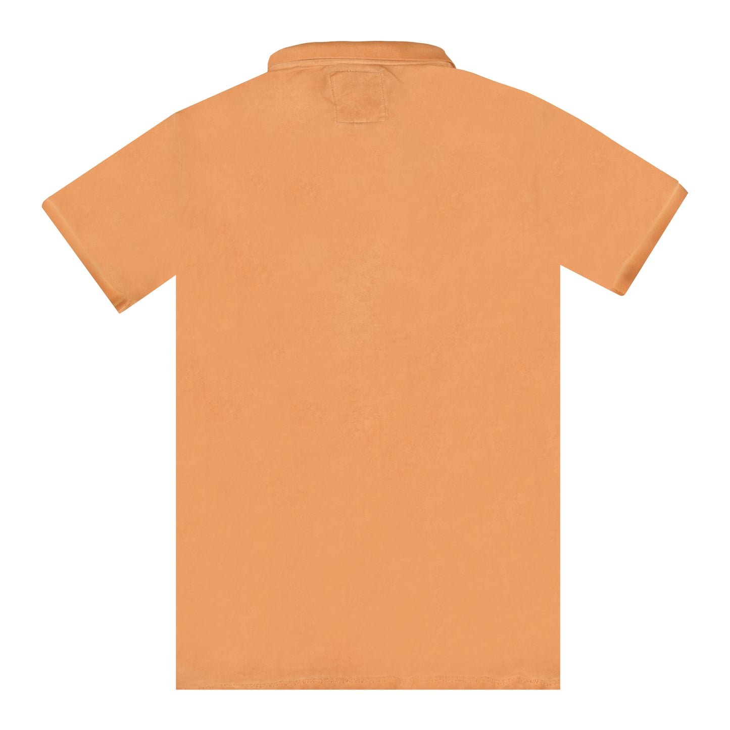 Arcado Polo