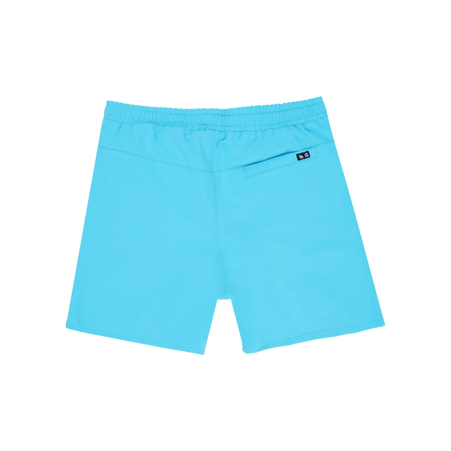 ShaneSS23 Swin-Short