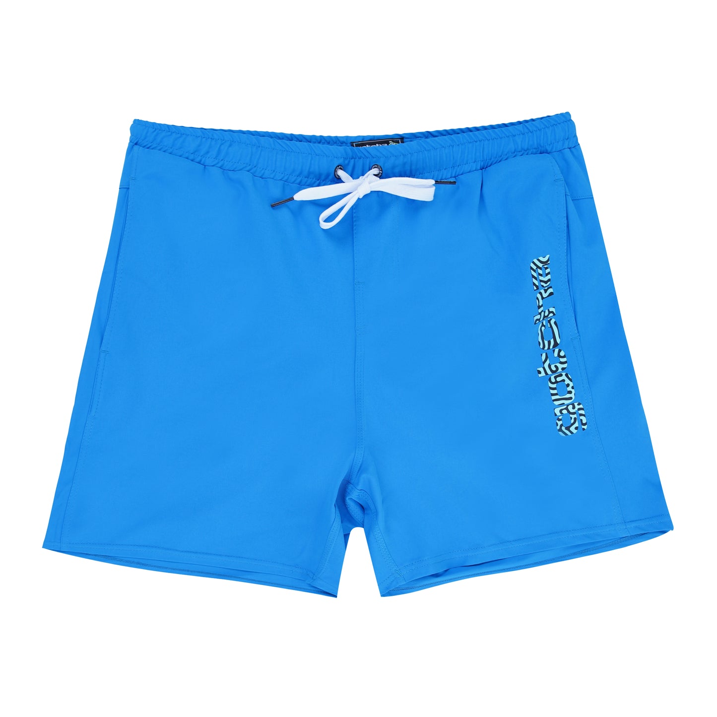 ShaneSS23 Swin-Short