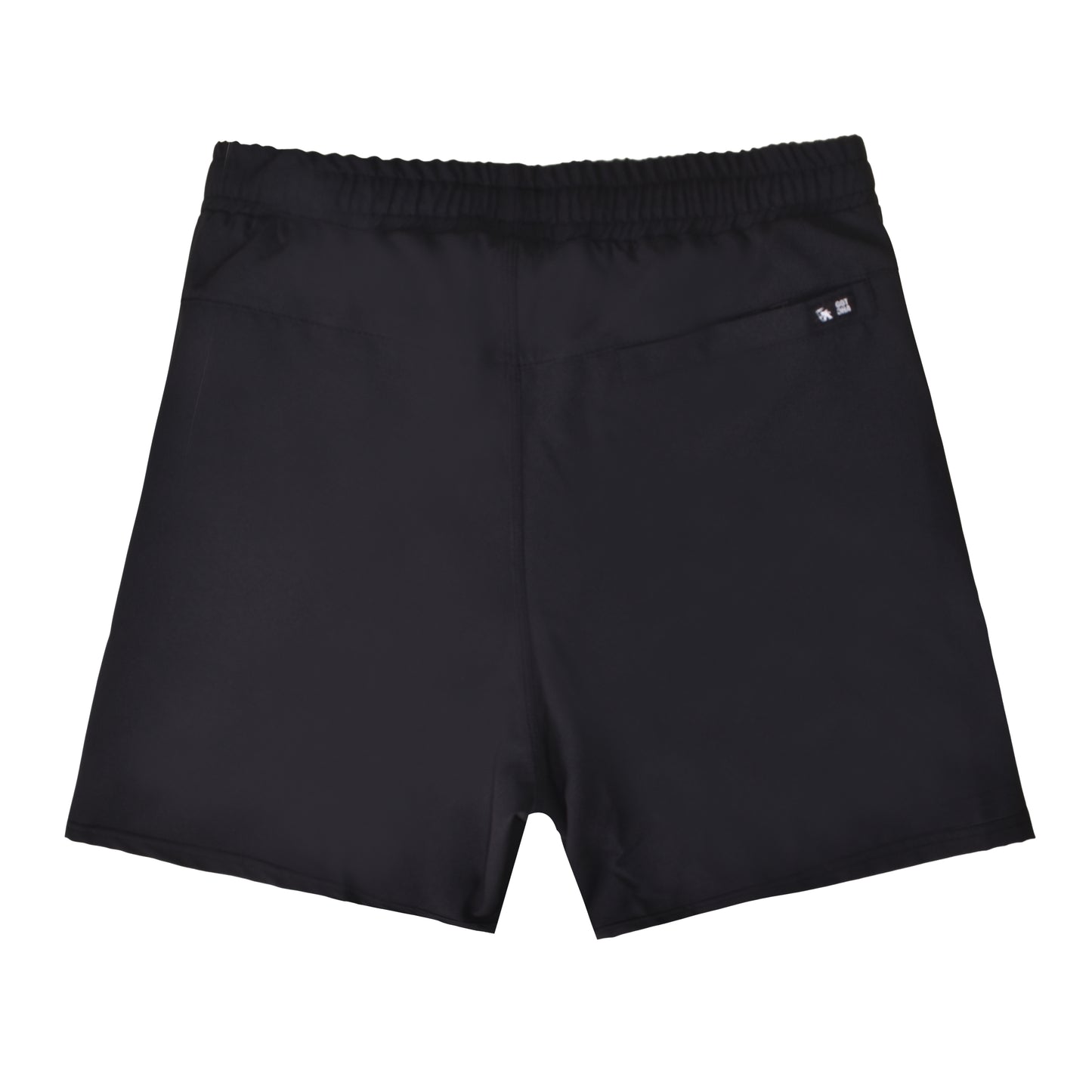 ShaneSS23 Swin-Short