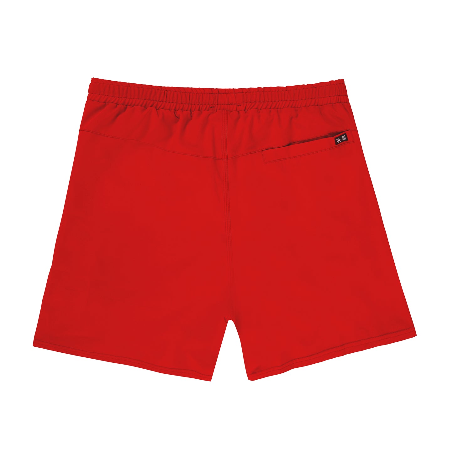 ShaneSS23 Swin-Short