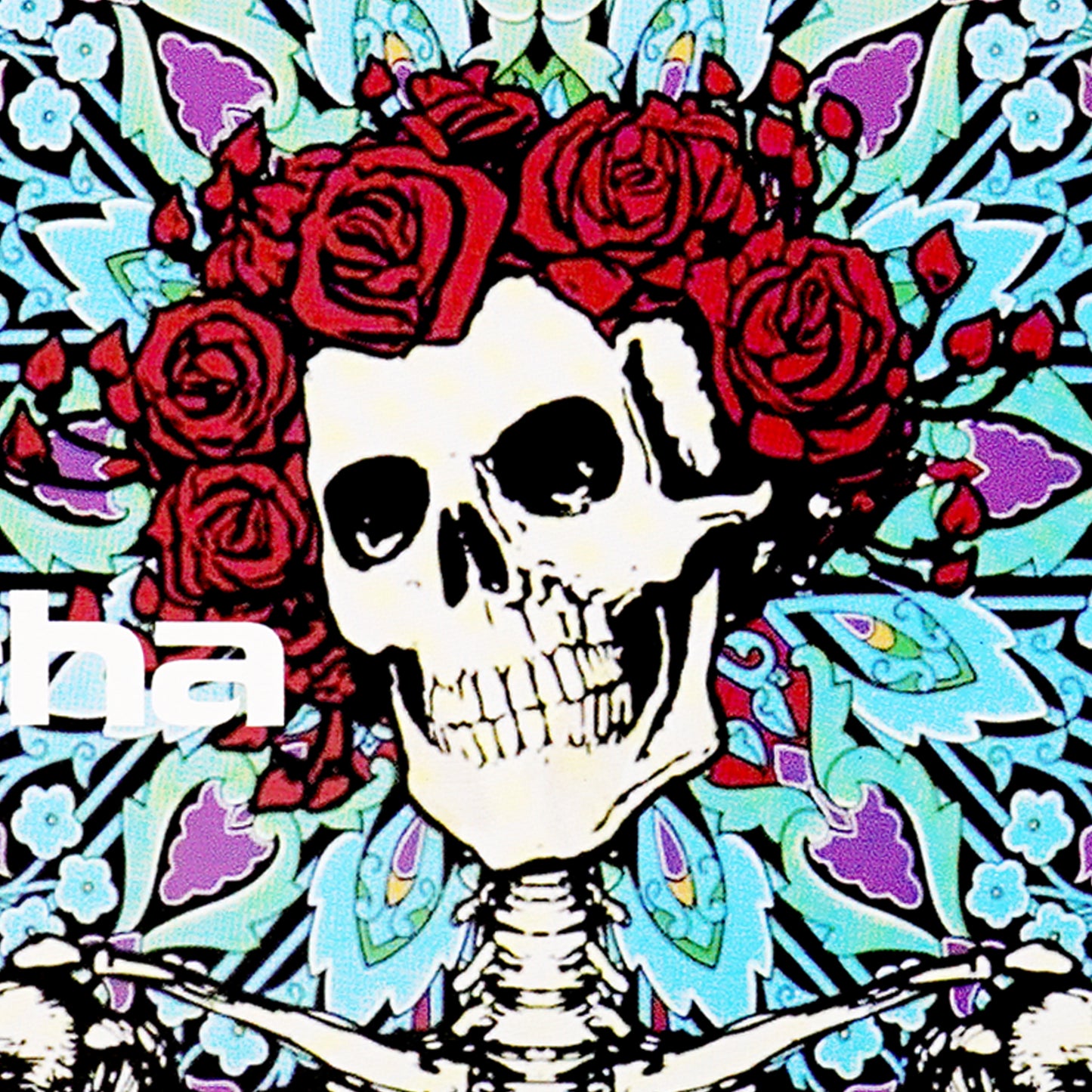 Cmpl22Skeleton Complete